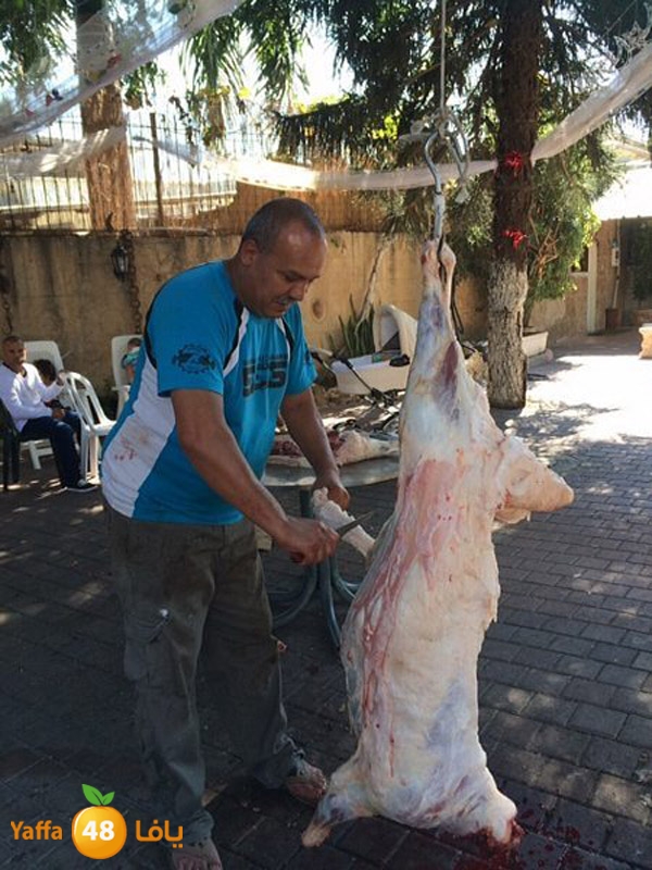 dabe7 ludj31 (64).jpg